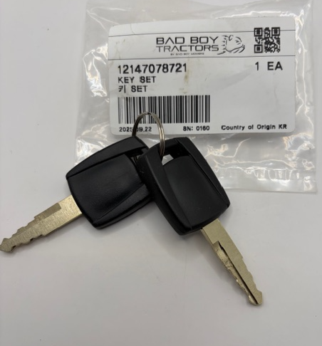 Bad Boy Ignition Key 12147078721