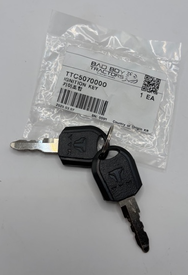 Bad Boy Ignition Key TTC5070000