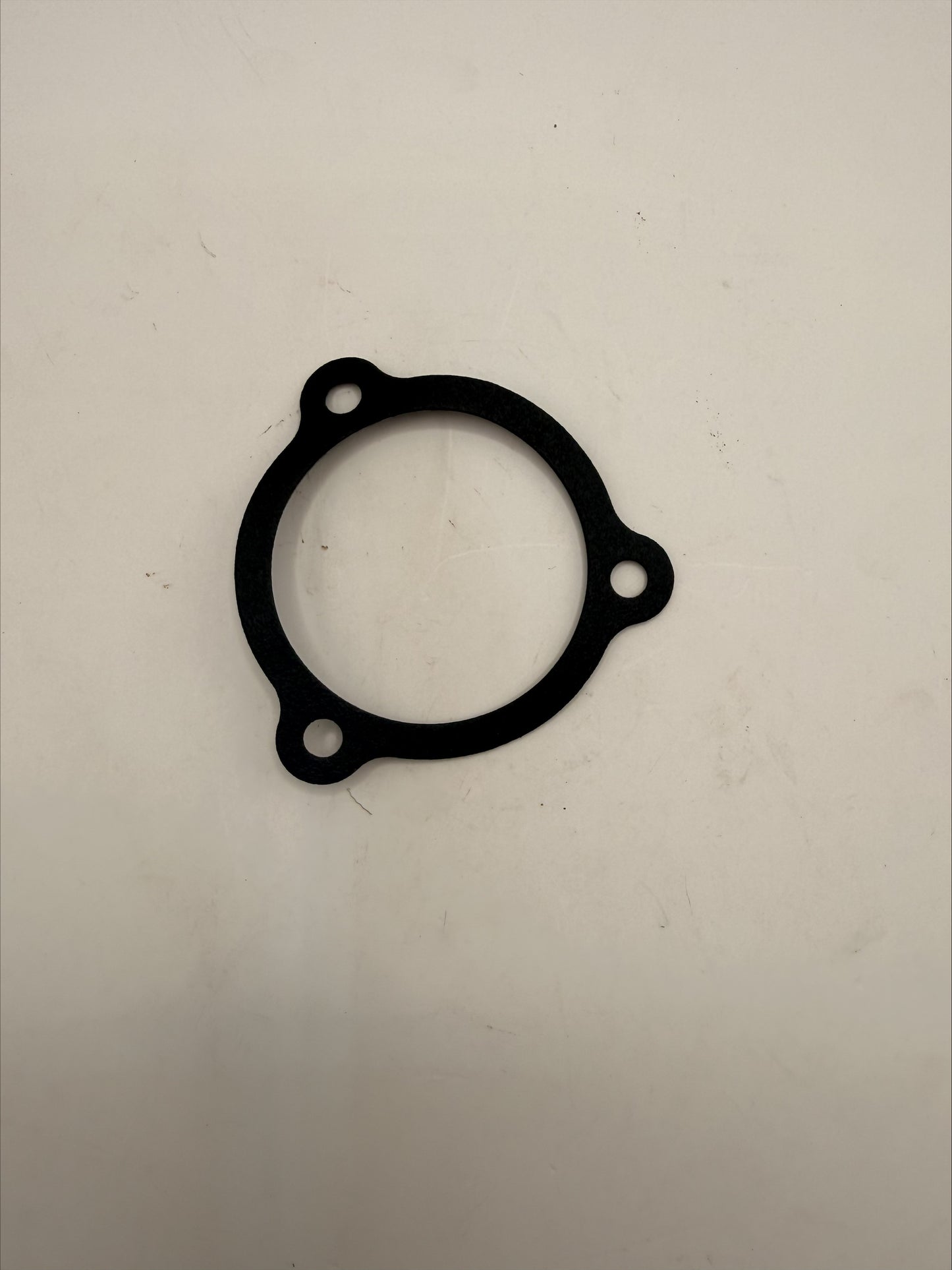 Mahindra Gasket L1009000002